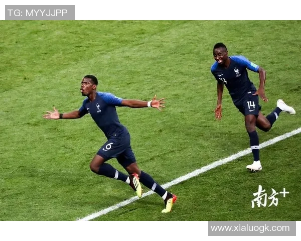 全国锦标赛特别报道:西安排球队拼搏历程与荣耀瞬间的真实记录