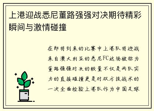 上港迎战悉尼董路强强对决期待精彩瞬间与激情碰撞